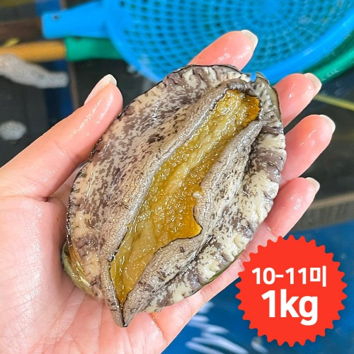 [청산바다] 소복 20-22미 1kg 활전복[청산바다] 소복 20-22미 1kg 활전복(주)청산바다기본트렌드