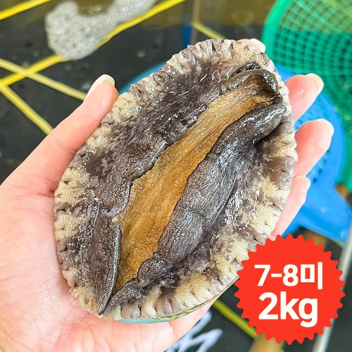 완도청정마켓[청산바다] 특대복 7-8미 2kg 활전복 (약 14~16마리)[청산바다] 특대복 7-8미 2kg 활전복 (약 14~16마리)(주)청산바다기본트렌드